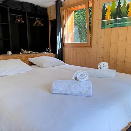 Le D'alice Vue Montblanc Chalé Chamonix