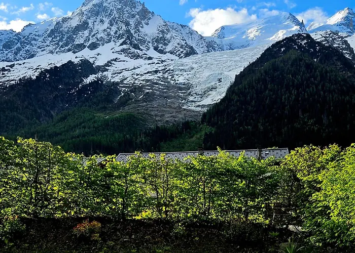 Le D'alice Vue Montblanc