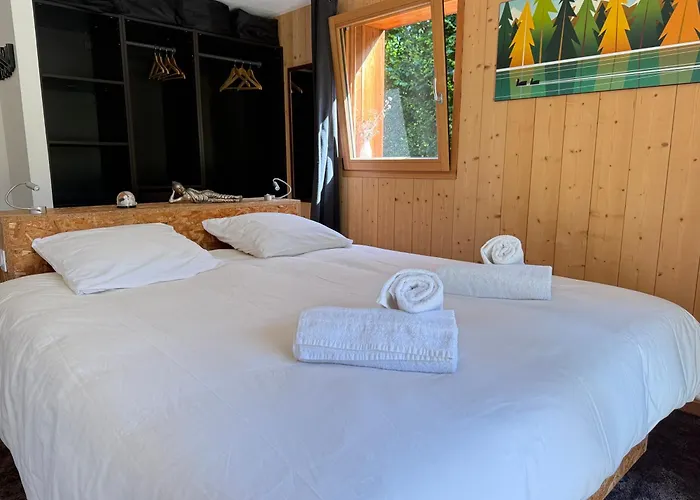 Le D'alice Vue Montblanc Chalet Chamonix